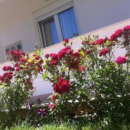 Villa Markic 드레베니크 외부 사진