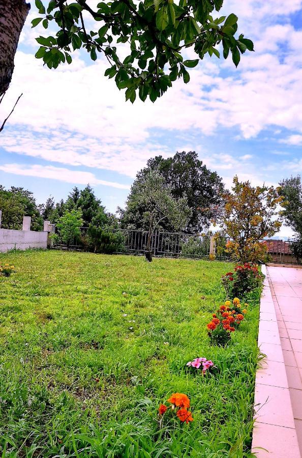 Villa Markic 드레베니크 외부 사진