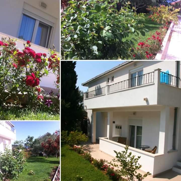 Villa Markic 드레베니크 외부 사진