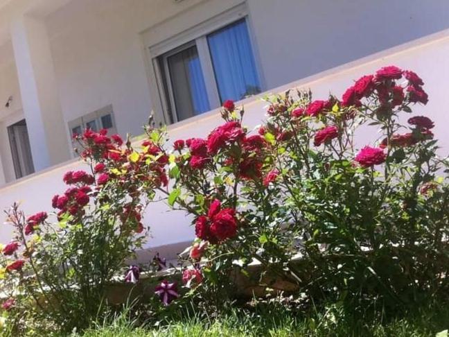 Villa Markic 드레베니크 외부 사진